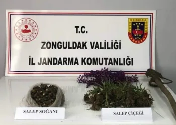 Salep soğanı toplayanlara ceza