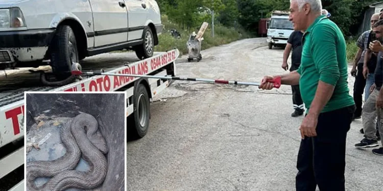 Araç içinde yılan sıkıştı
