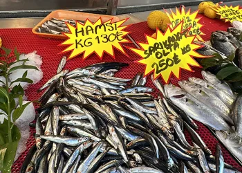 Balık tezgahlarında son durum