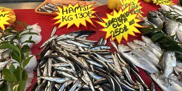 Balık tezgahlarında son durum