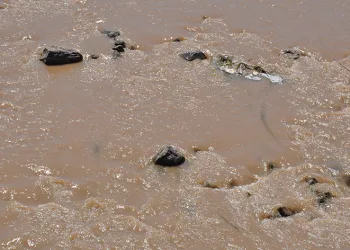 Kars Çayı’nın rengi değişti