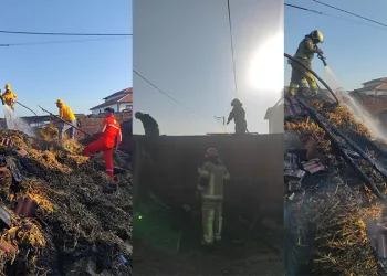 Bursa’da çiftlikte korkutan yangın