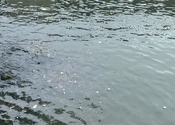 Yağış sonrası çöpler limanlara toplandı