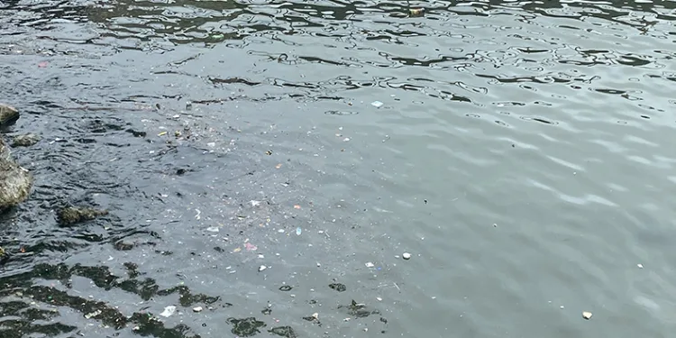 Yağış sonrası çöpler limanlara toplandı