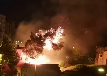 Gece otluk alandaki yangın mahalleliyi korkuttu