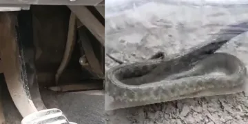 Ayağını uzattı yılan çıktı