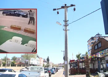Papağanı kurtarmak isteyen gençten acı haber