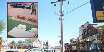 Papağanı kurtarmak isteyen gençten acı haber
