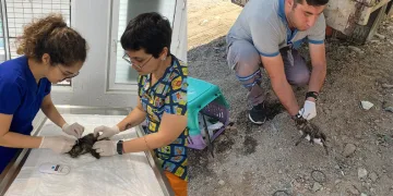 Vatandaş ihbar etti, belediye müdahale etti