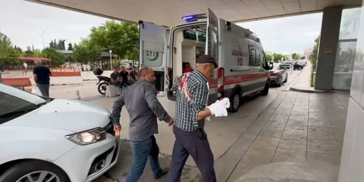 Kasaplar yine hastanelik oldu