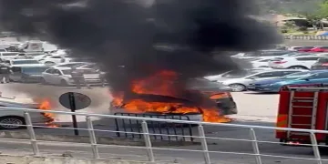 Seyir halindeki araç alev alev yandı