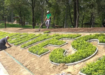 Cumalıkızık Orman Parkı’nda sona doğru