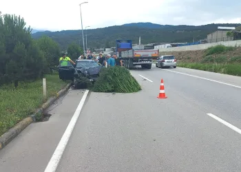 Önce direğe ardından ağaca çarptı