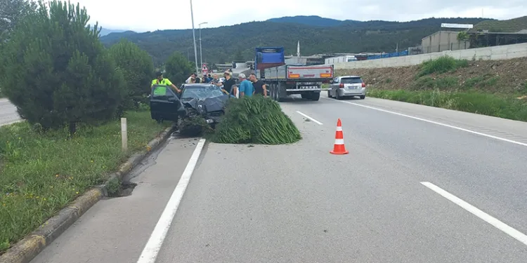 Önce direğe ardından ağaca çarptı