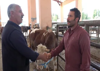 Hayvan pazarında pazarlıklar devam ediyor
