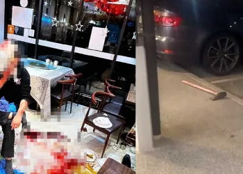 Çin restoranlarına baltalı saldırı