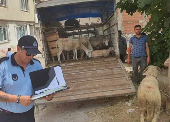 Mahalle arasında kurban satışına izin yok