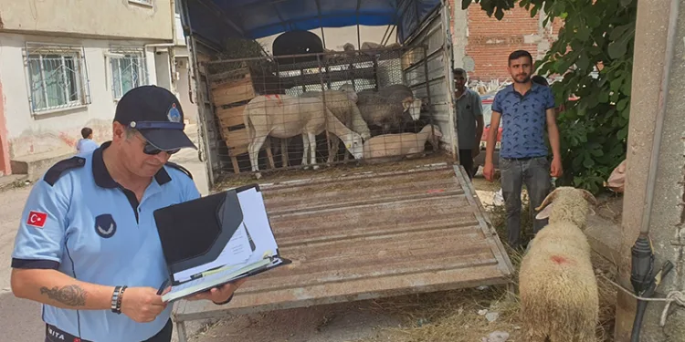 Mahalle arasında kurban satışına izin yok