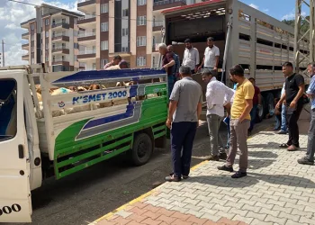 Depremde hayvanlarını kaybedenlere hayvan dağıtıldı
