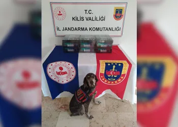 Kaçak sigara operasyonu