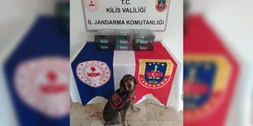Kaçak sigara operasyonu