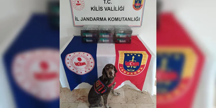 Kaçak sigara operasyonu