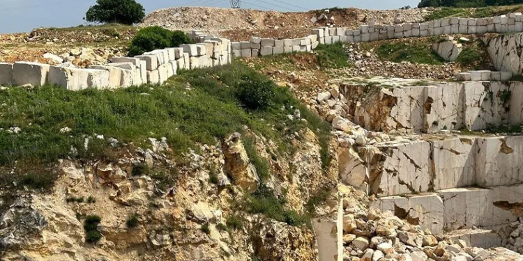 Günlerdir kayalıklarda mahsur kalan keçi kurtarıldı