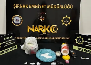 Asayiş ve kaçakçılık operasyonu: 133 gözaltı
