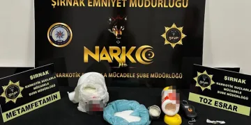 Asayiş ve kaçakçılık operasyonu: 133 gözaltı
