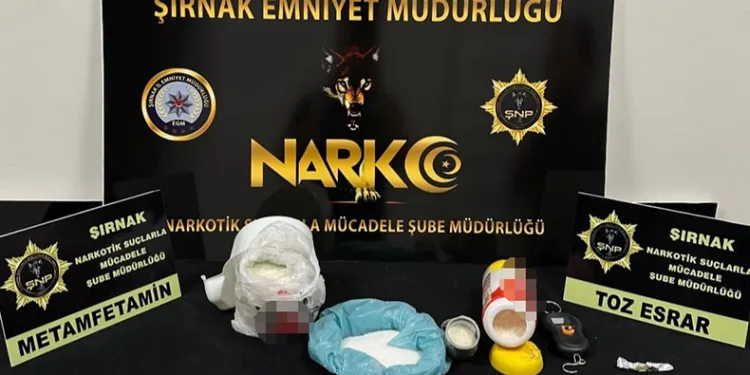 Asayiş ve kaçakçılık operasyonu: 133 gözaltı