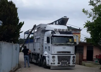 Prefabrik ev elektrik tellerine takıldı