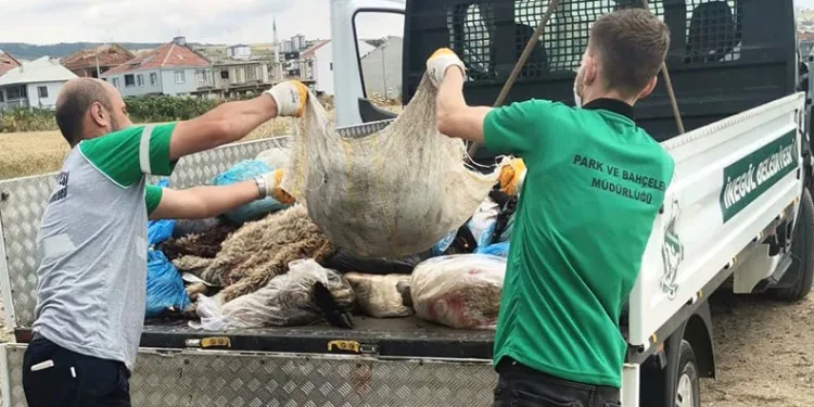 Bursa’da 300 ton kurban atığı toplandı