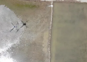 Tarımda dron dönem