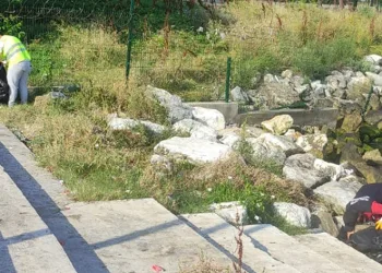 Yalova sahilleri aralıksız temizleniyor