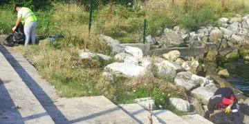 Yalova sahilleri aralıksız temizleniyor