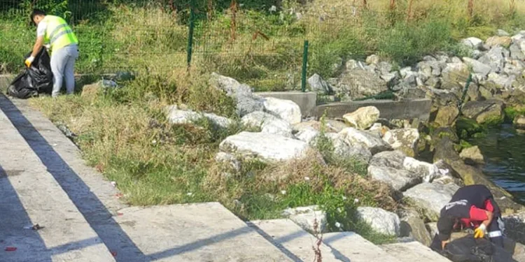 Yalova sahilleri aralıksız temizleniyor