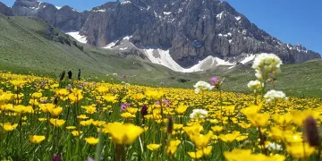 Merg Yaylası mest etti