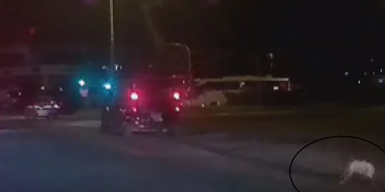 Aracın bagajından yolun ortasına düştü