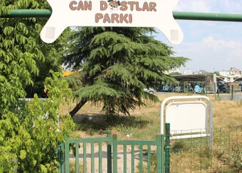 Can dostlar köpek parkı sahipsiz kaldı