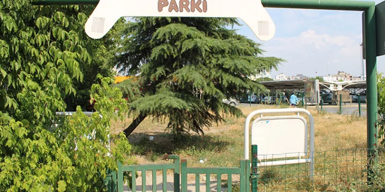 Can dostlar köpek parkı sahipsiz kaldı