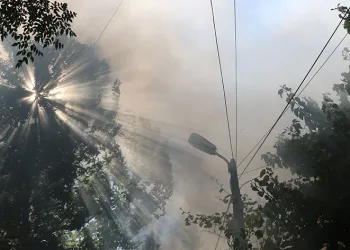Kahramanmaraş’ta korkutan yangın
