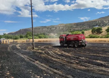 Tunceli’de 15 dönüm ekili alan kül oldu