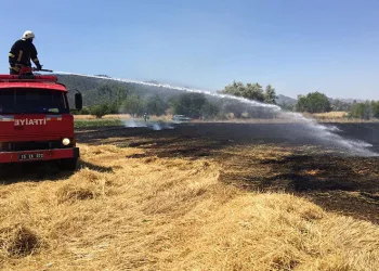 Burdur’da anız yangını