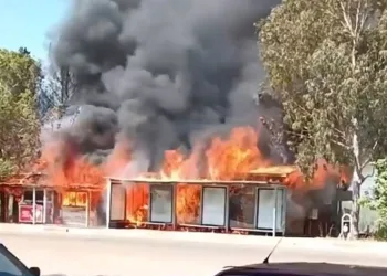Kafede çıkan yangın ormana sıçradı