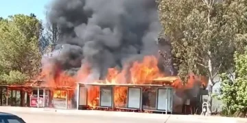 Kafede çıkan yangın ormana sıçradı