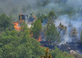 ‘Yeşil Vatan’dan gözlerini ayırmıyorlar