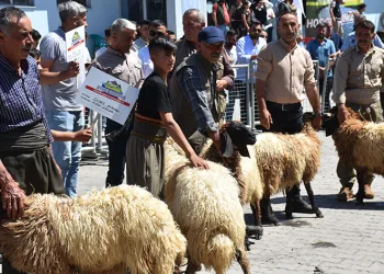 Hayvan Kırkma Festivali