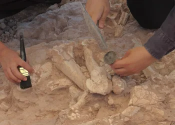 Kazılarda insan arayışı devam ediyor