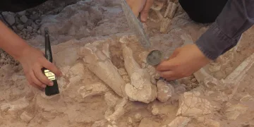 Kazılarda insan arayışı devam ediyor