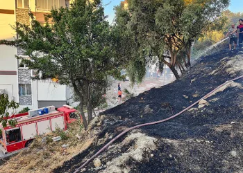 Kuşadası’nda korkutan yangın